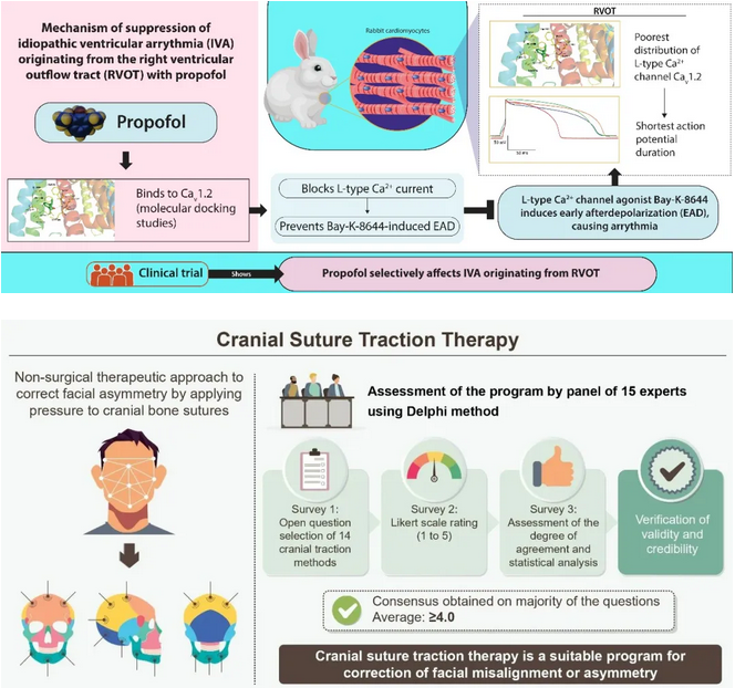 为啥顶刊都喜欢要求作者提供图文摘要?插图1 为啥顶刊都喜欢要求作者提供图文摘要?插图1