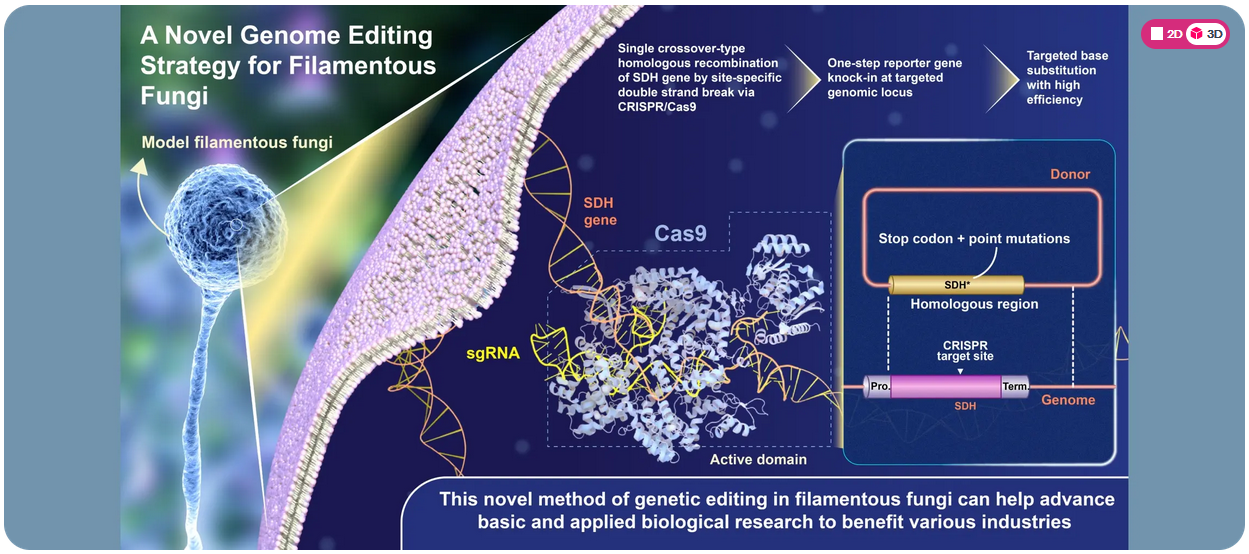 图形摘要怎么设计?我的实战经验分享插图 图文摘要