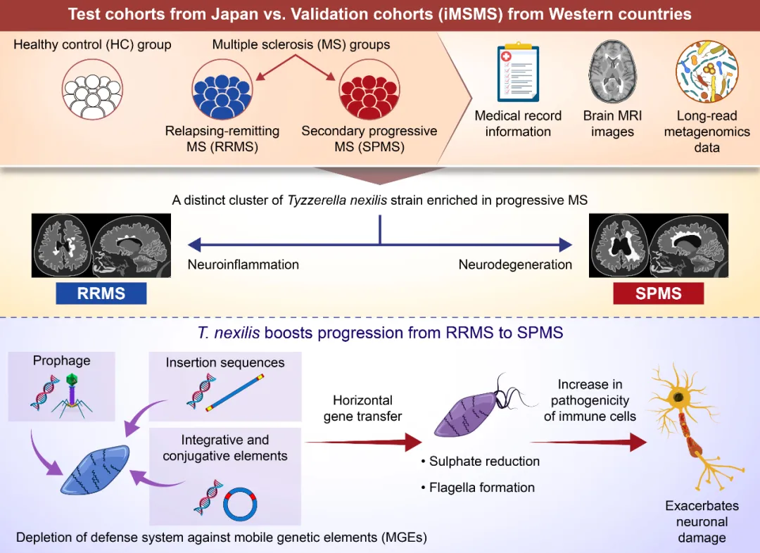 从“学术PPT”到“顶刊名片”,只因为你的图文摘要做对了这几步!插图 从“学术PPT”到“顶刊名片”,只因为你的图文摘要做对了这几步!插图